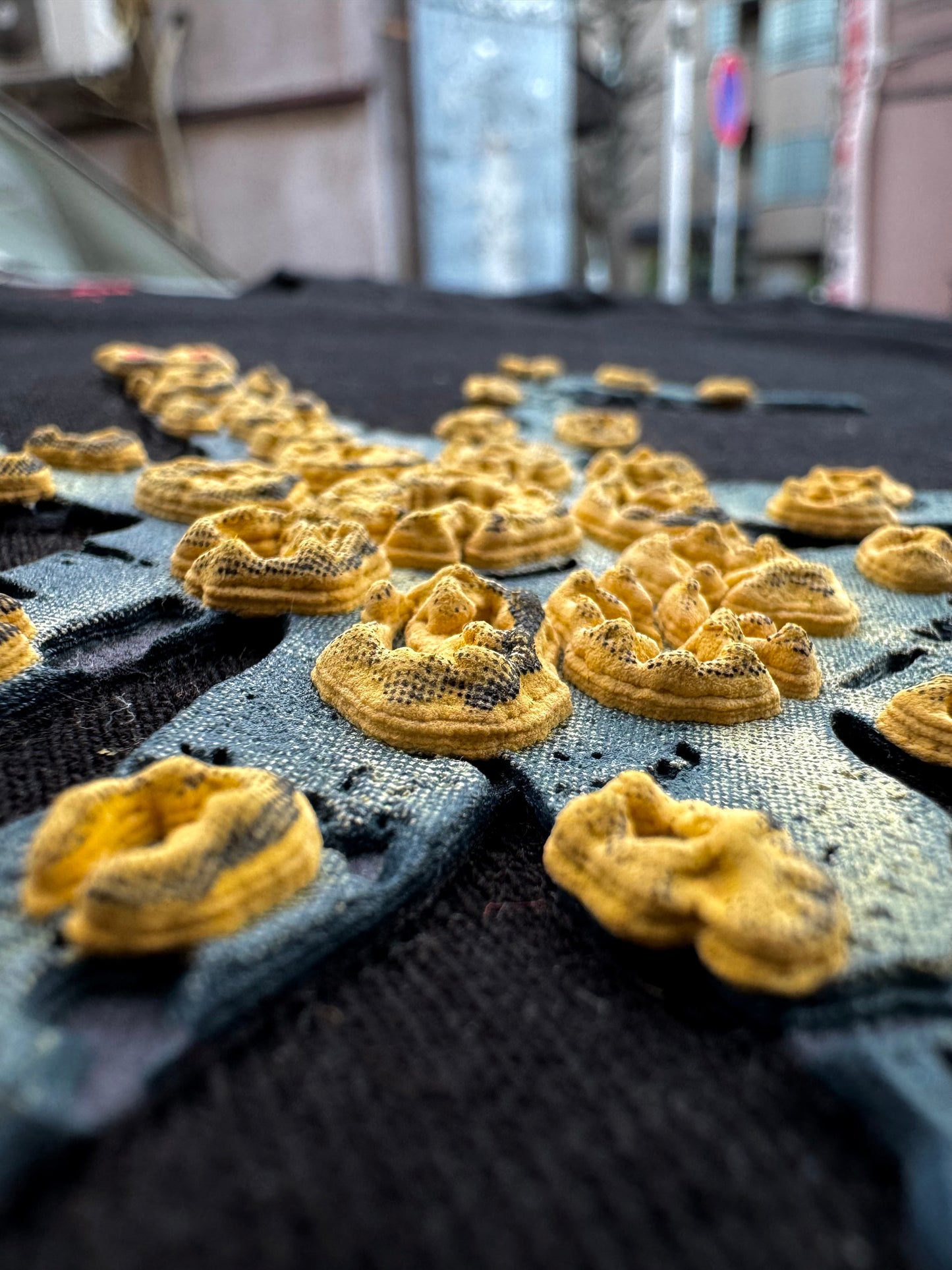 円谷 ガイロス星人